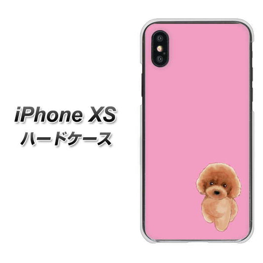 iPhone XS 高画質仕上げ 背面印刷 ハードケース【YJ049 トイプードルレッド（ピンク）】