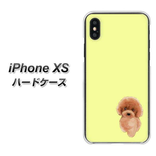 iPhone XS 高画質仕上げ 背面印刷 ハードケース【YJ051 トイプードルレッド（イエロー）】