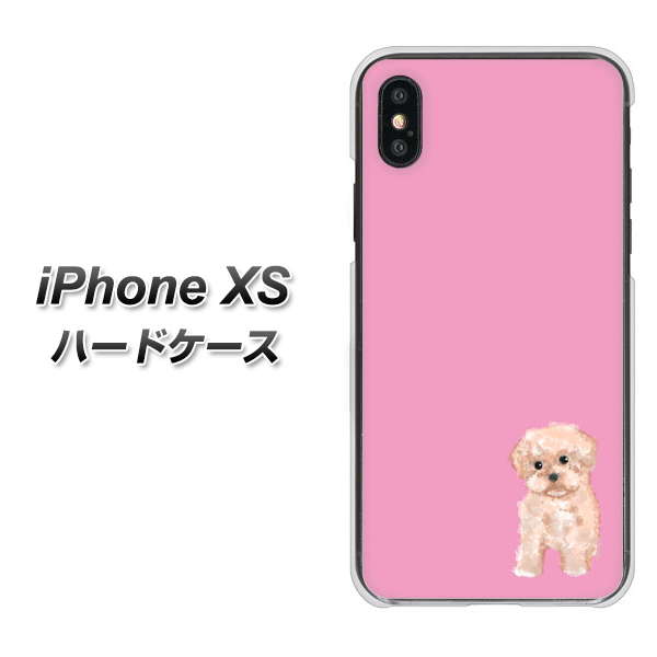 iPhone XS 高画質仕上げ 背面印刷 ハードケース【YJ061 トイプードルアプリコット（ピンク）】