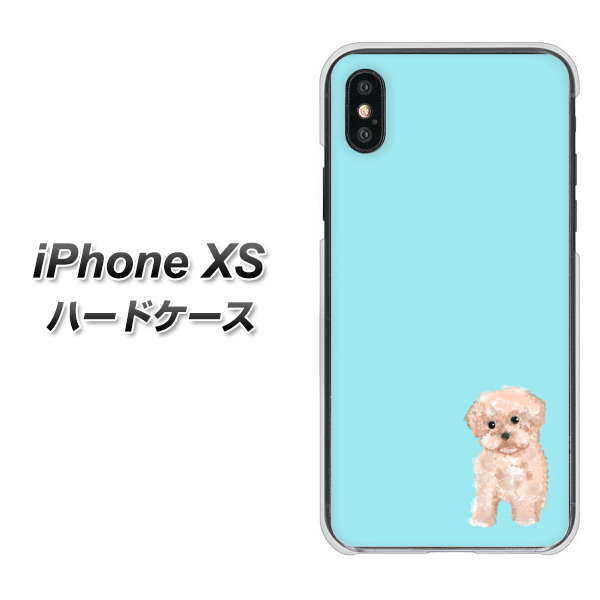 iPhone XS 高画質仕上げ 背面印刷 ハードケース【YJ062 トイプードルアプリコット（ブルー）】