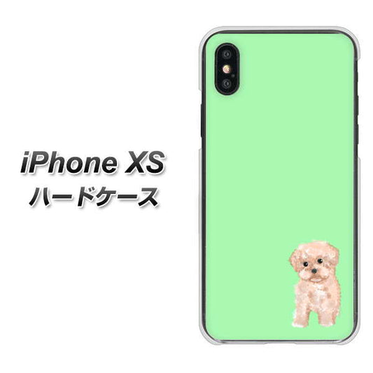 iPhone XS 高画質仕上げ 背面印刷 ハードケース【YJ063 トイプードルアプリコット（グリーン）】