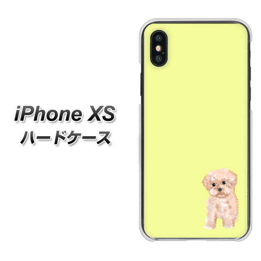 iPhone XS 高画質仕上げ 背面印刷 ハードケース【YJ064 トイプードルアプリコット（イエロー）】