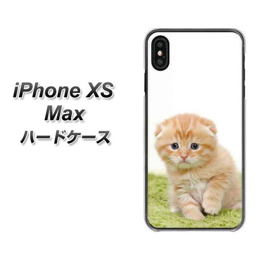iPhone XS Max 高画質仕上げ 背面印刷 ハードケース【VA802 ネコこっそり】