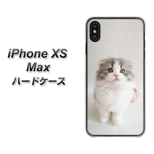 iPhone XS Max 高画質仕上げ 背面印刷 ハードケース【VA803 まっていますネコ】