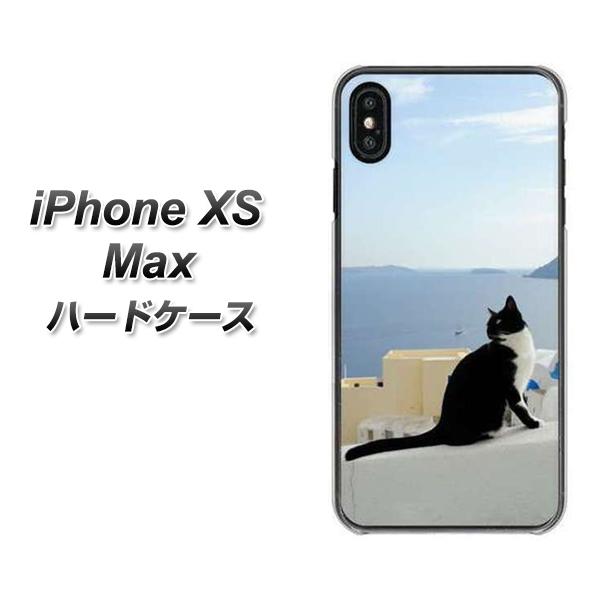 iPhone XS Max 高画質仕上げ 背面印刷 ハードケース【VA805 ネコと地中海】