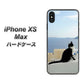 iPhone XS Max 高画質仕上げ 背面印刷 ハードケース【VA805 ネコと地中海】