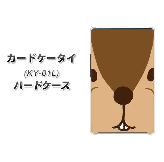 docomo カードケータイ KY-01 高画質仕上げ 背面印刷 ハードケース【349 りす】