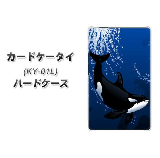 docomo カードケータイ KY-01 高画質仕上げ 背面印刷 ハードケース【423 シャチ】