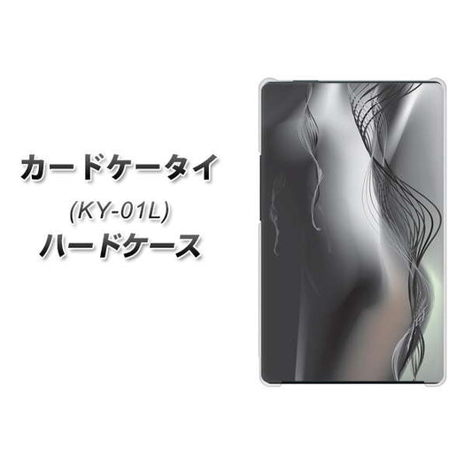docomo カードケータイ KY-01 高画質仕上げ 背面印刷 ハードケース【566 ボディウォール】