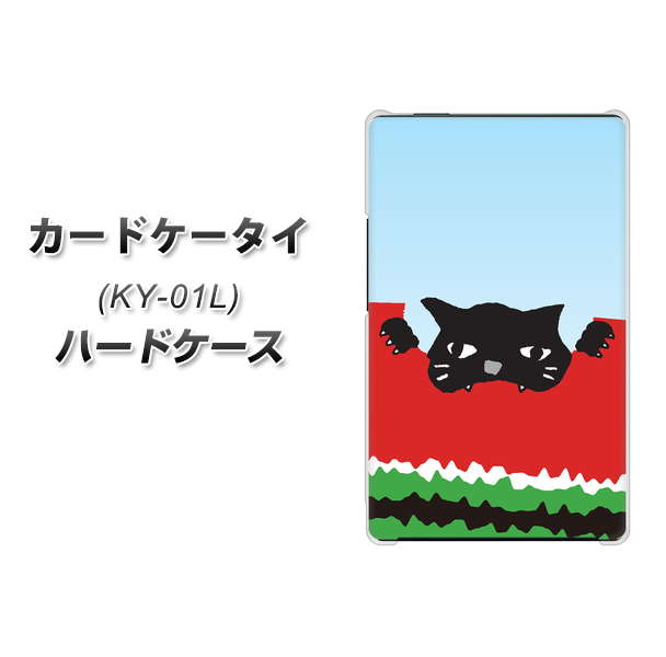 docomo カードケータイ KY-01 高画質仕上げ 背面印刷 ハードケース【IA815 すいかをかじるネコ(大)】