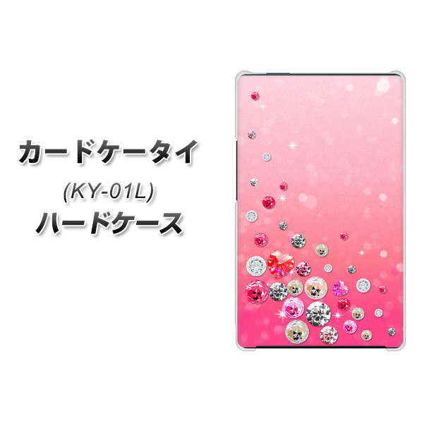 docomo KY-01L カード携帯 専用ケース付き