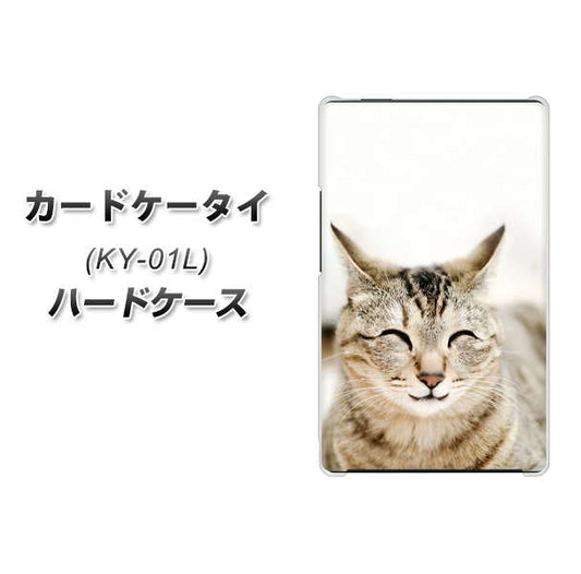 docomo カードケータイ KY-01 高画質仕上げ 背面印刷 ハードケース【VA801 笑福ねこ】