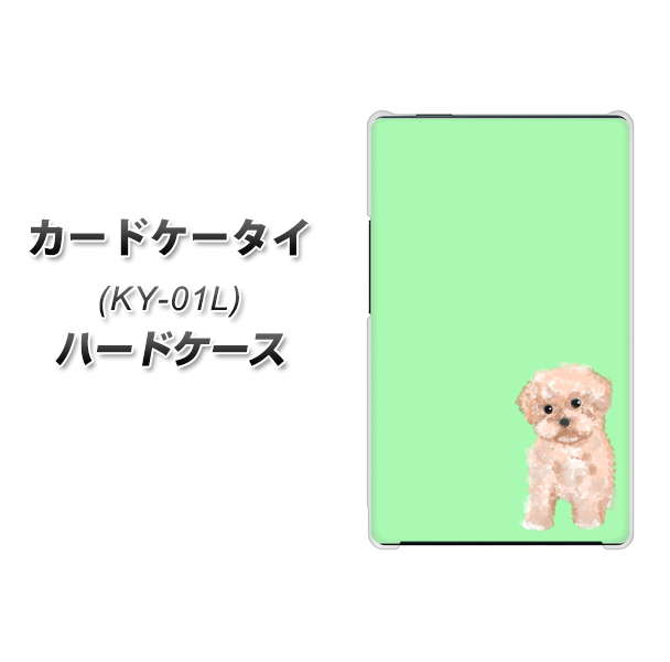 docomo カードケータイ KY-01 高画質仕上げ 背面印刷 ハードケース【YJ063 トイプードルアプリコット（グリーン）】