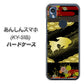 あんしんスマホ KY-51B docomo 高画質仕上げ 背面印刷 ハードケース【174 天の川の金魚】