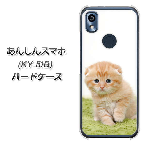 あんしんスマホ KY-51B docomo 高画質仕上げ 背面印刷 ハードケース【VA802 ネコこっそり】