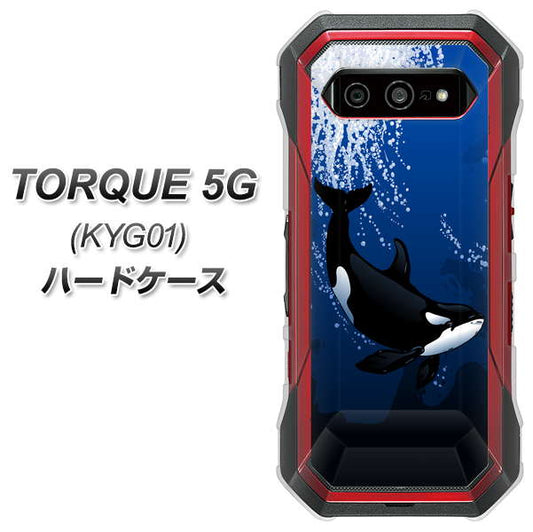 au トルク 5G KYG01 高画質仕上げ 背面印刷 ハードケース【423 シャチ】