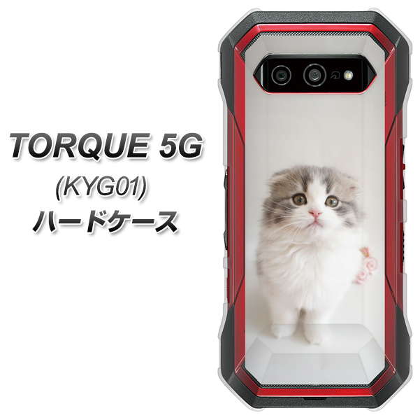 au トルク 5G KYG01 高画質仕上げ 背面印刷 ハードケース【VA803 まっていますネコ】