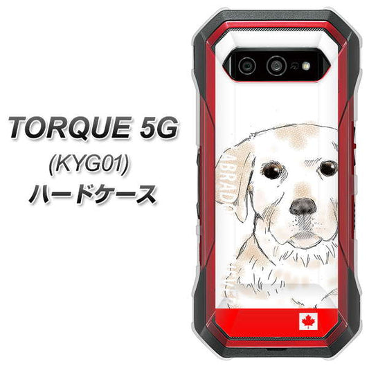 au トルク 5G KYG01 高画質仕上げ 背面印刷 ハードケース【YD821 ラブラドールレトリバー02】