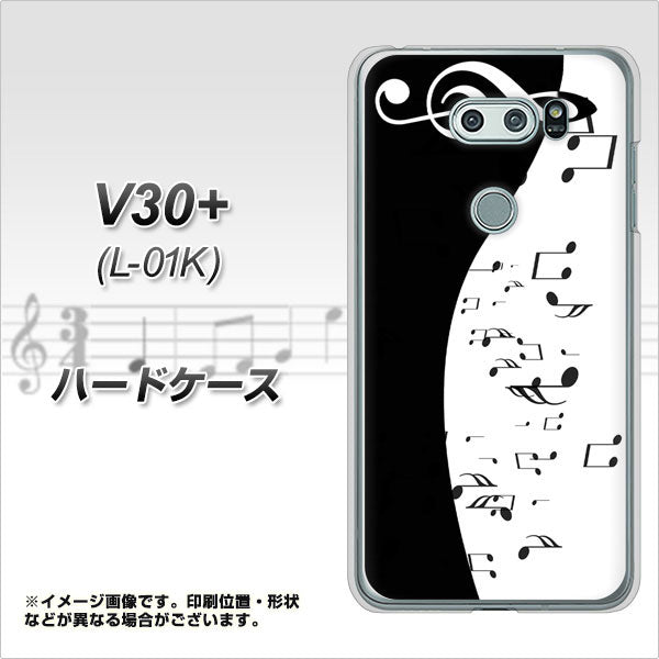 docomo V30+ L-01K 高画質仕上げ 背面印刷 ハードケース【114 モノトーンのリズム】
