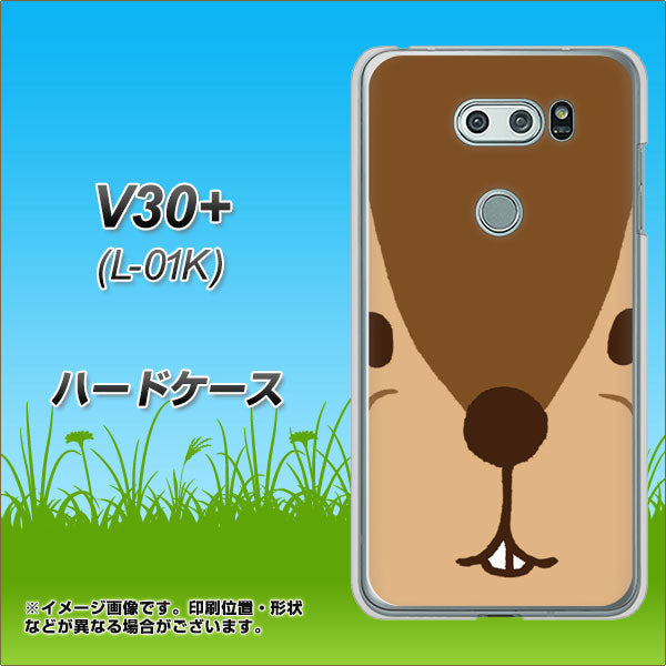 docomo V30+ L-01K 高画質仕上げ 背面印刷 ハードケース【349 りす】