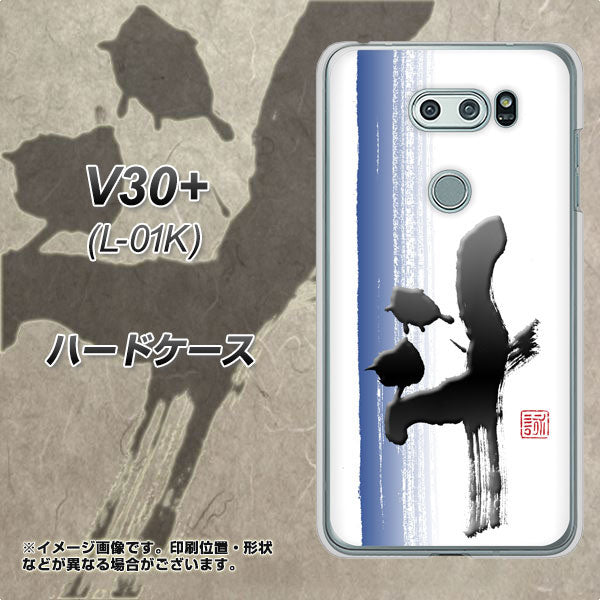 docomo V30+ L-01K 高画質仕上げ 背面印刷 ハードケース【OE829 斗】