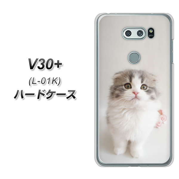 docomo V30+ L-01K 高画質仕上げ 背面印刷 ハードケース【VA803 まっていますネコ】