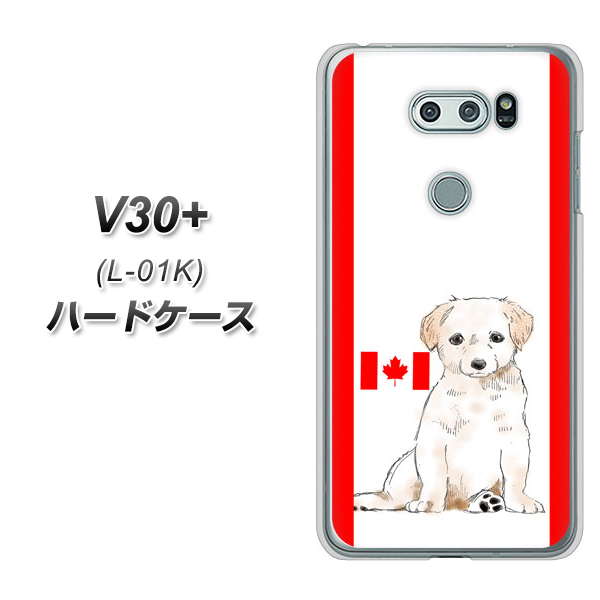 docomo V30+ L-01K 高画質仕上げ 背面印刷 ハードケース【YD824 ラブラドールレトリバー05】