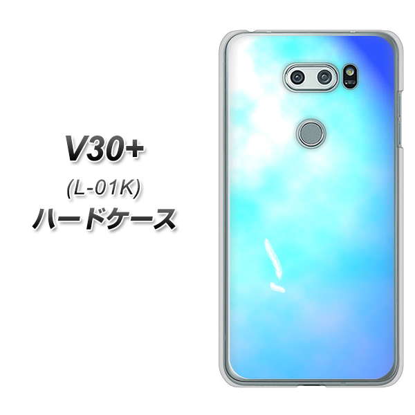 docomo V30+ L-01K 高画質仕上げ 背面印刷 ハードケース【YJ291 デザイン　光】