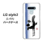 docomo LG style3 L-41A 高画質仕上げ 背面印刷 ハードケース【OE829 斗】