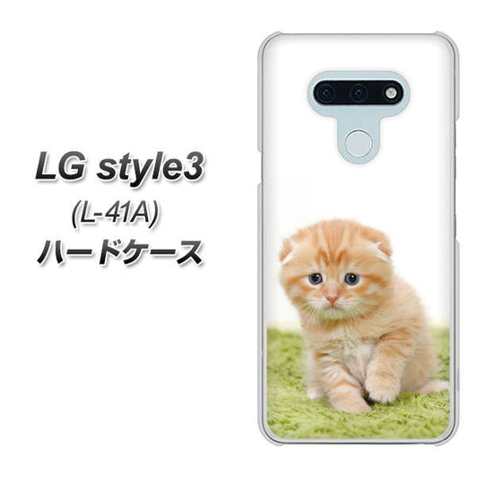 docomo LG style3 L-41A 高画質仕上げ 背面印刷 ハードケース【VA802 ネコこっそり】