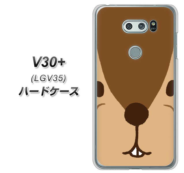 au イサイ V30+ LGV35 高画質仕上げ 背面印刷 ハードケース【349 りす】