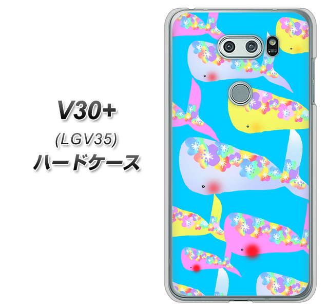 au イサイ V30+ LGV35 高画質仕上げ 背面印刷 ハードケース【1045 くじらの仲間】