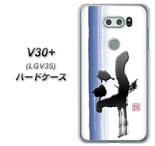 au イサイ V30+ LGV35 高画質仕上げ 背面印刷 ハードケース【OE829 斗】