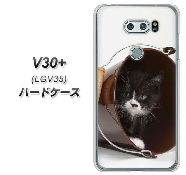 au イサイ V30+ LGV35 高画質仕上げ 背面印刷 ハードケース【VA800 ネコとバケツ】