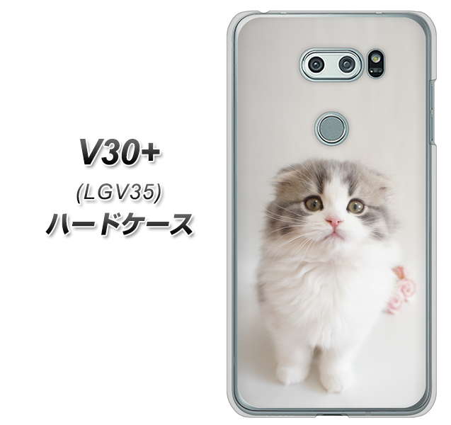 au イサイ V30+ LGV35 高画質仕上げ 背面印刷 ハードケース【VA803 まっていますネコ】