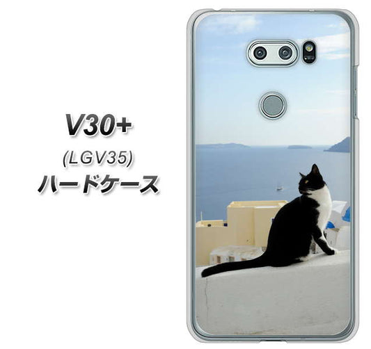 au イサイ V30+ LGV35 高画質仕上げ 背面印刷 ハードケース【VA805 ネコと地中海】