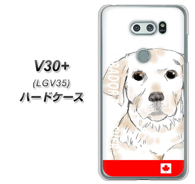 au イサイ V30+ LGV35 高画質仕上げ 背面印刷 ハードケース【YD821 ラブラドールレトリバー02】