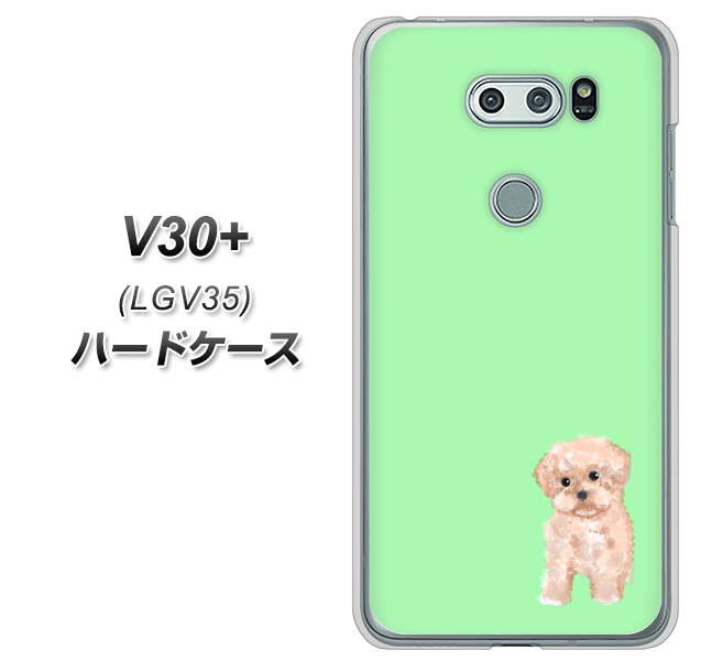 au イサイ V30+ LGV35 高画質仕上げ 背面印刷 ハードケース【YJ063 トイプードルアプリコット（グリーン）】