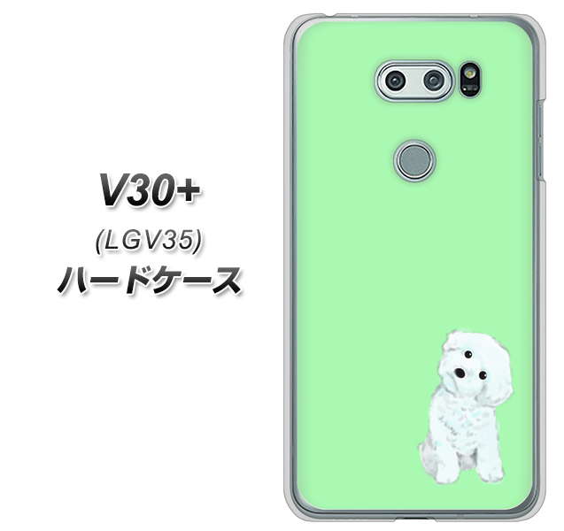 au イサイ V30+ LGV35 高画質仕上げ 背面印刷 ハードケース【YJ071 トイプードルホワイト（グリーン）】