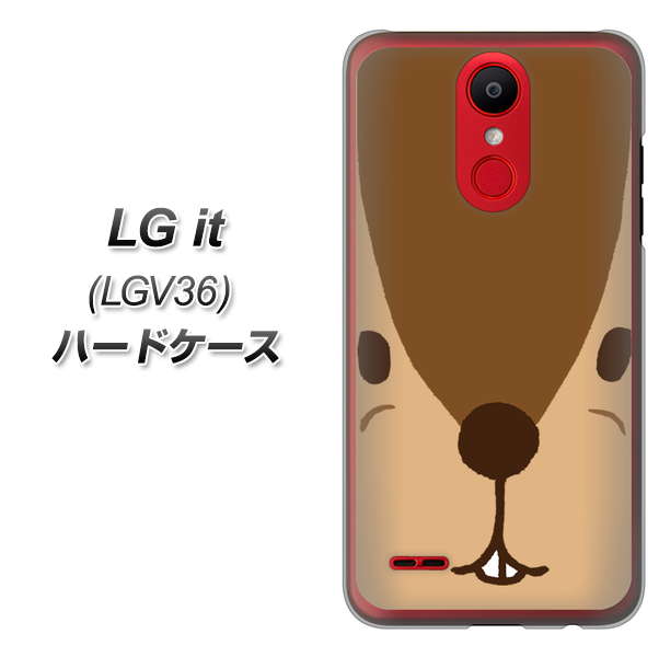 au エルジー イット LGV36 高画質仕上げ 背面印刷 ハードケース【349 りす】