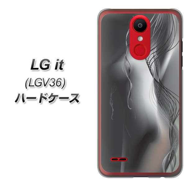 au エルジー イット LGV36 高画質仕上げ 背面印刷 ハードケース【566 ボディウォール】