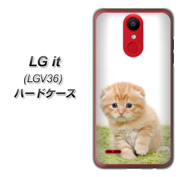 au エルジー イット LGV36 高画質仕上げ 背面印刷 ハードケース【VA802 ネコこっそり】