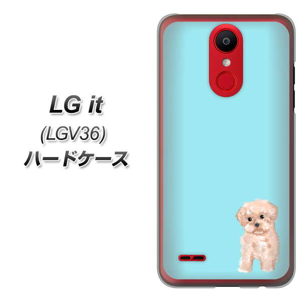 au エルジー イット LGV36 高画質仕上げ 背面印刷 ハードケース【YJ062 トイプードルアプリコット（ブルー）】