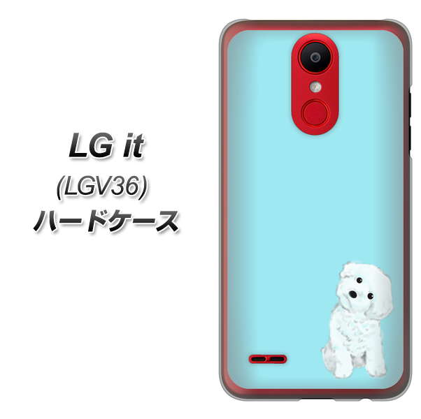 au エルジー イット LGV36 高画質仕上げ 背面印刷 ハードケース【YJ070 トイプードルホワイト（ブルー）】