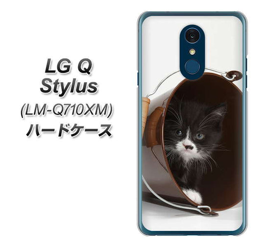 LG Q Stylus LM-Q710XM 高画質仕上げ 背面印刷 ハードケース【VA800 ネコとバケツ】