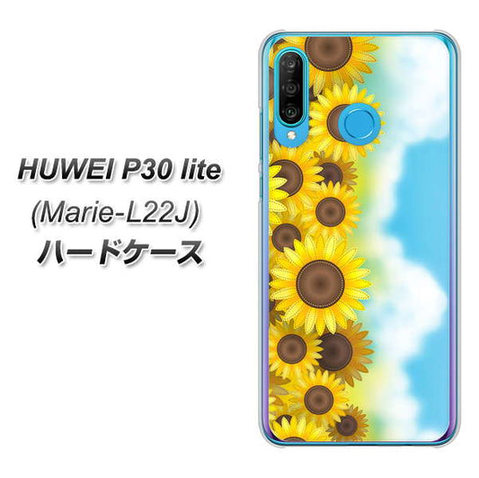 simフリー HUAWEI（ファーウェイ） P30 lite Marie-L22J 高画質仕上げ 背面印刷 ハードケース【148 ひまわり畑】