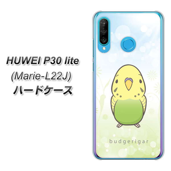 simフリー HUAWEI（ファーウェイ） P30 lite Marie-L22J 高画質仕上げ 背面印刷 ハードケース【SC838 セキセイインコ グリーン】