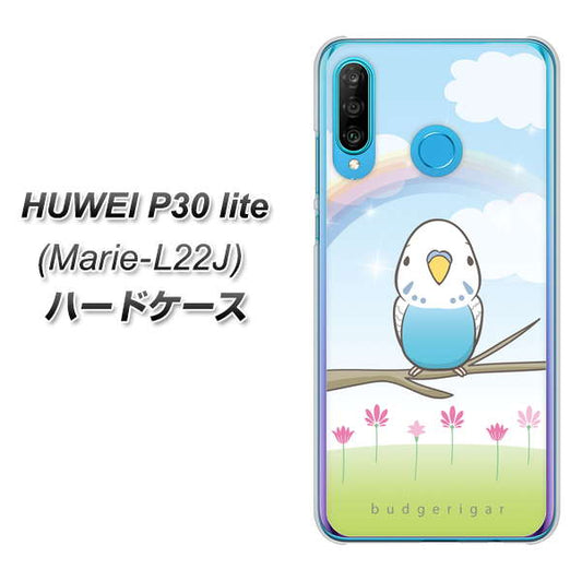 simフリー HUAWEI（ファーウェイ） P30 lite Marie-L22J 高画質仕上げ 背面印刷 ハードケース【SC839 セキセイインコ ブルー】