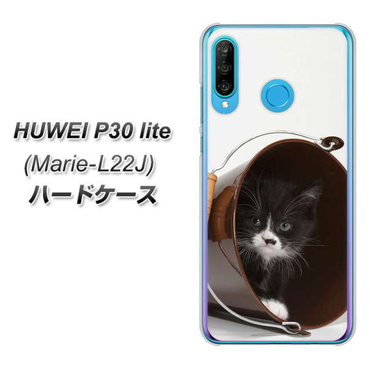 simフリー HUAWEI（ファーウェイ） P30 lite Marie-L22J 高画質仕上げ 背面印刷 ハードケース【VA800 ネコとバケツ】