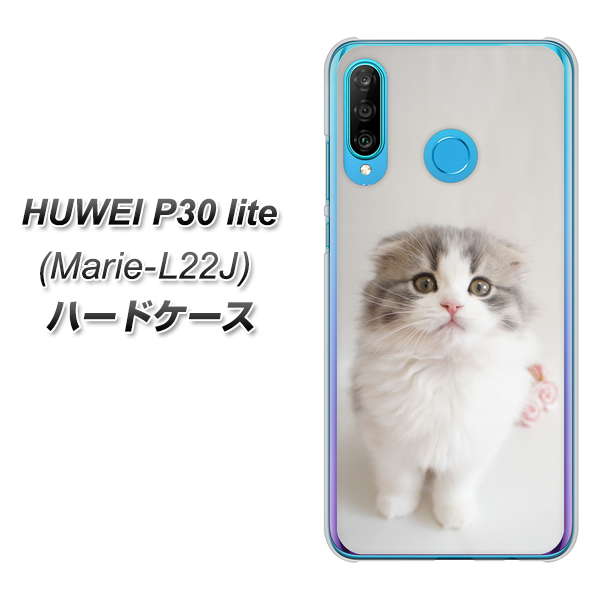 simフリー HUAWEI（ファーウェイ） P30 lite Marie-L22J 高画質仕上げ 背面印刷 ハードケース【VA803 まっていますネコ】